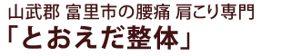 山武郡 富里市の腰痛 肩こり専門「とおえだ整体」