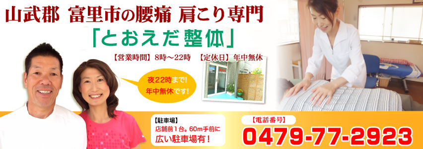 山武郡 富里市 整体なら腰痛肩こり専門の「とおえだ整体」