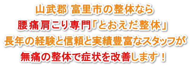 山武郡 富里市 整体なら腰痛肩こり専門の「とおえだ整体」