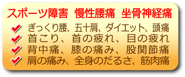 骨盤矯正,慢性腰痛,首の痛み,首こり,首の疲れ,目の疲れ,背中痛,膝の痛み,股関節痛,肩の痛み,全身のだるさ,筋肉痛