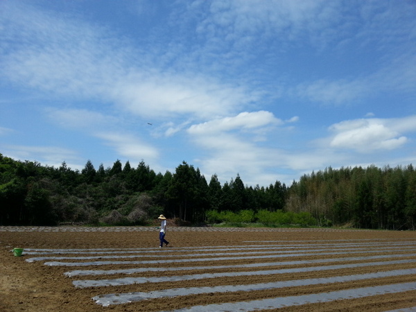 らっかまき20150503_112533.jpg